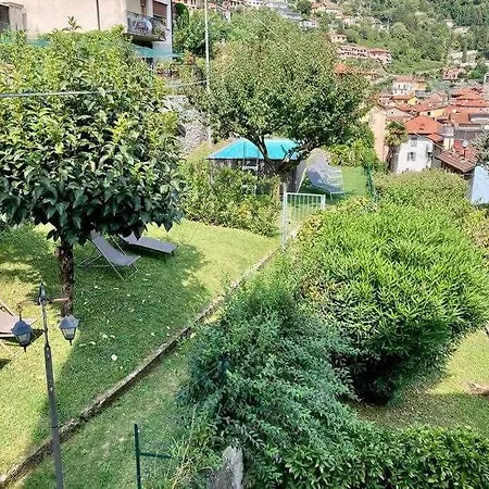 Peroni With Swimming Pool