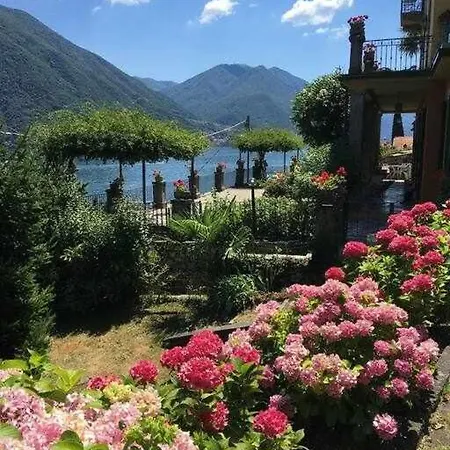 Peroni With Swimming Pool