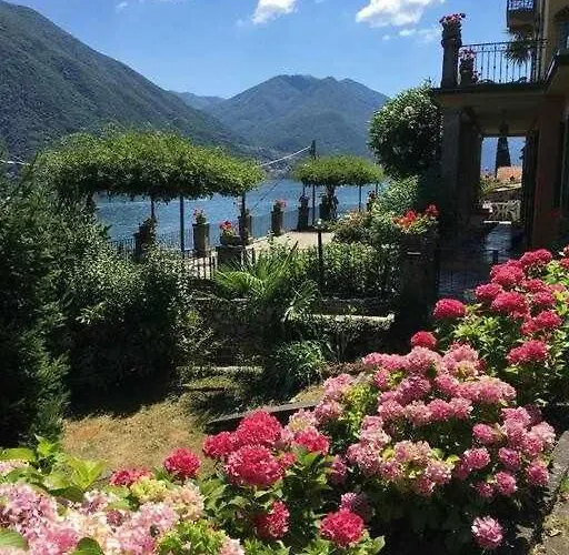 Peroni With Swimming Pool