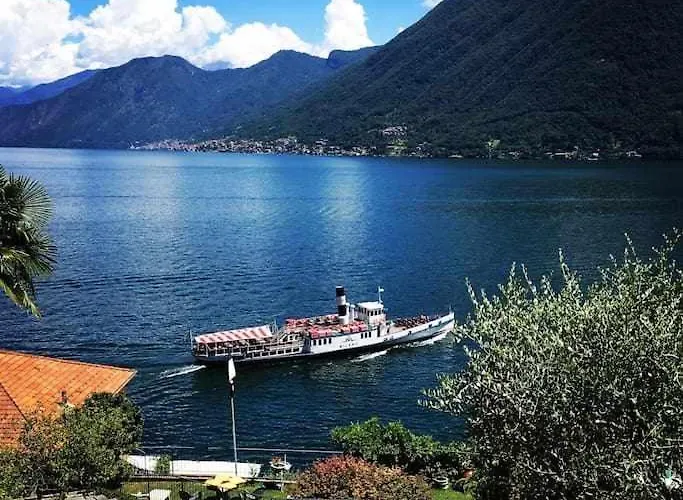 Peroni With Swimming Pool *